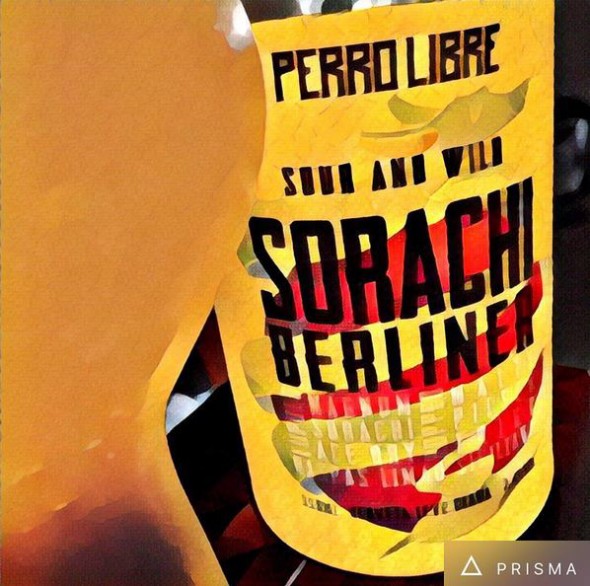 Sorachi Berliner: liberdada para a Perro Libre (Foto: Pedro Mello e Souza)