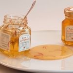 A origem de todo o mel